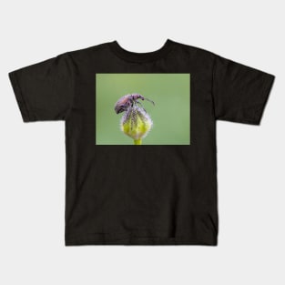 Nettle Weevil on Buttercup Bud Kids T-Shirt